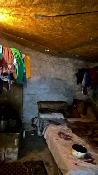 Acțiune socială Bălăceanca (2017) – fotografia 7