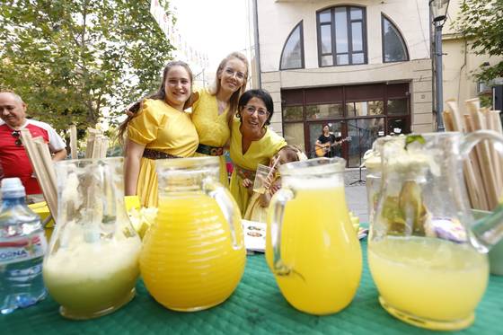 Festivalul limonadei – Ediția I – fotografia 7