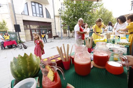 Festivalul limonadei – Ediția I – fotografia 6
