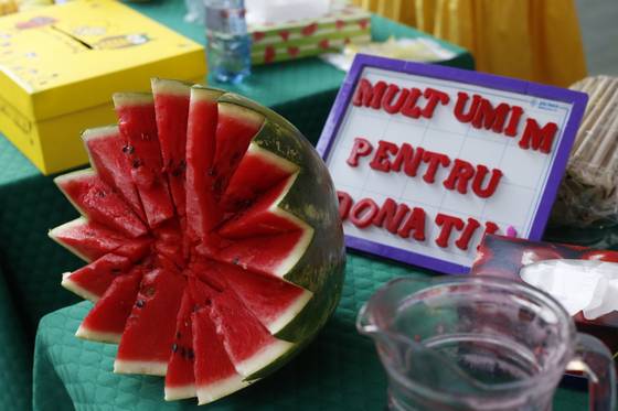 Festivalul limonadei – Ediția I – fotografia 4