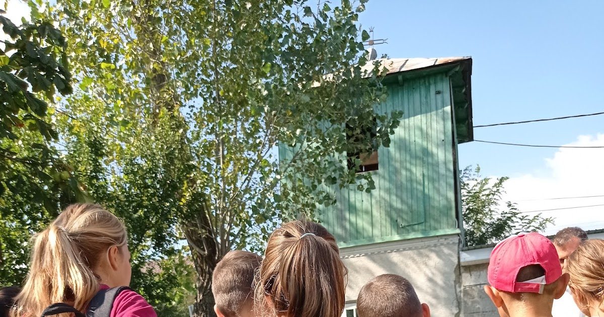 Imagine din apariția media – Poveștile de viață ale lui Dan Gheorghe (blog)