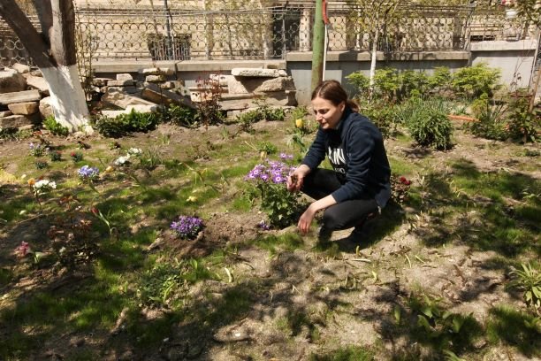 Voluntariat pentru mediu – Plantează cu noi un pomișor
